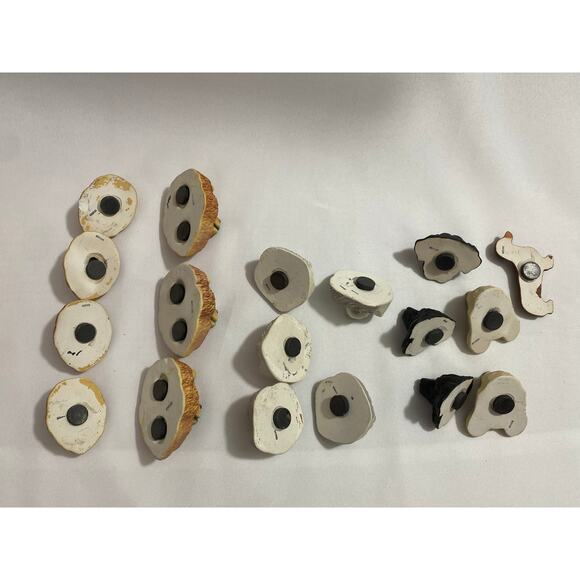 Brown Chow Chow, Sheep Dog, Cocker Spaniel, Dachsund: 18 Resin Magnet LOT - Picture 7 of 12